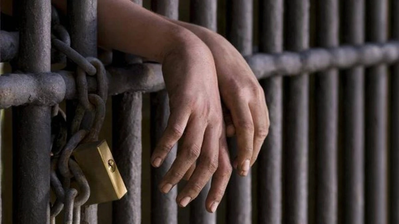 حبس عامل.. قرار عاجل ضد متهم بسرقة هاتف طالب بأسلوب المغافلة في القليوبية